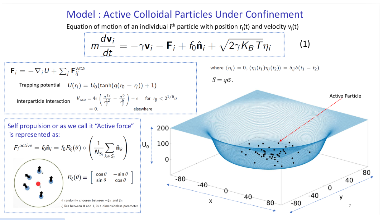 Active Matter Simulation