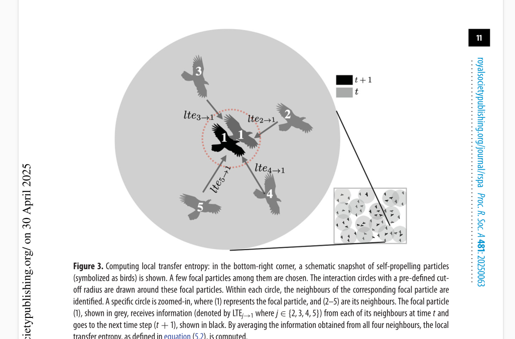 Local Transfer Entropy Computation